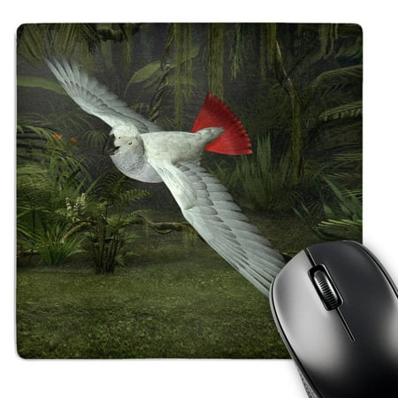 3dRose  Congo African Grey Parrot  MousePad price history on PriceWatchPro