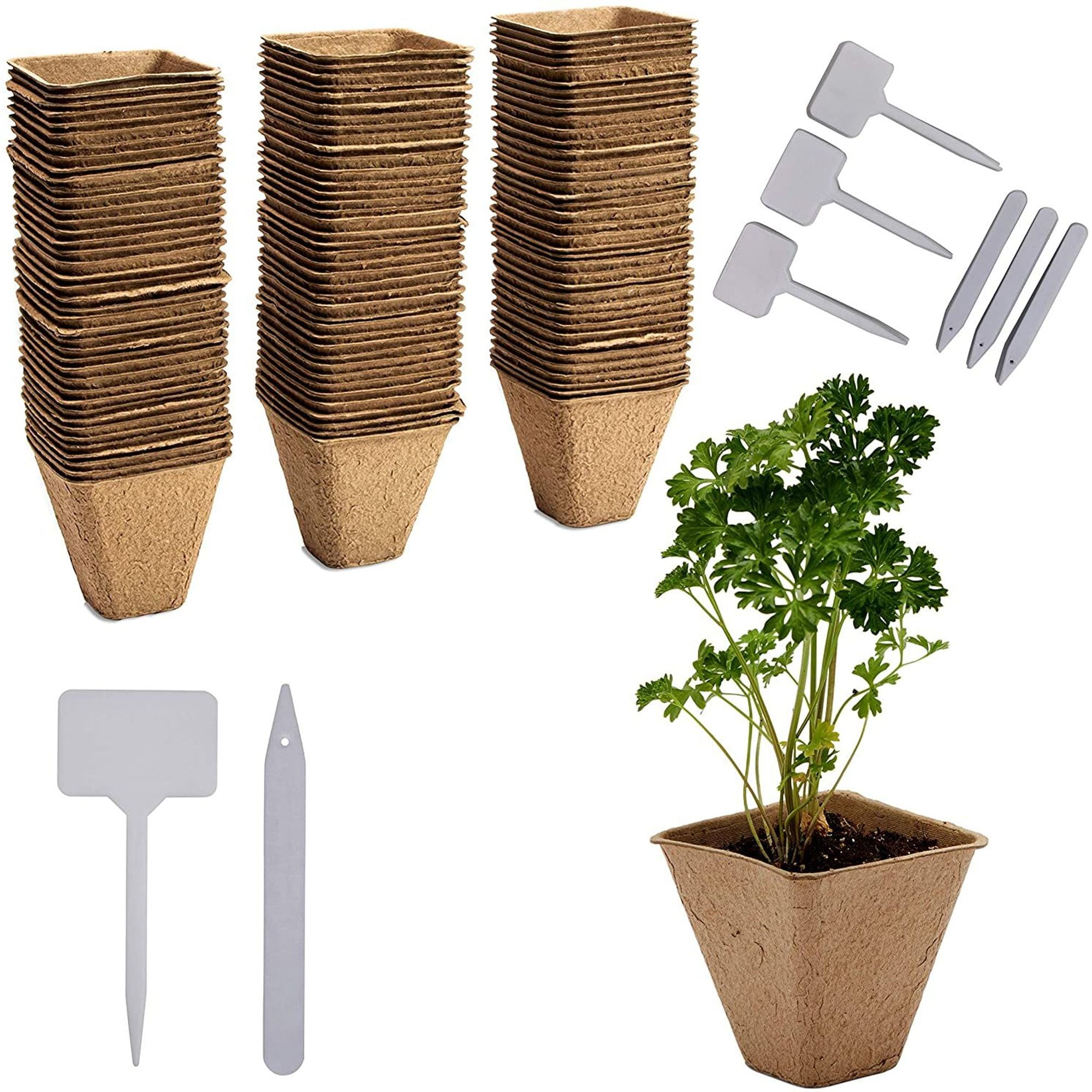120-Pack Square 3.15” Seed Starter Peat Pots Biodegradable Seedling Tray  with Plant Labels - Walmart.com