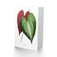 thumbnail image 2 of Leaf Dioscorea Discolor Greetings Card Plus Envelope Blank inside, 2 of 3