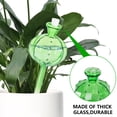 thumbnail image 3 of Rirool 4 Pcs Plant Watering Globes, 140ml Automatic Glass Watering Bulbs, Cactus Shaped Self Watering Device for Indoor Outdoor Plants, Garden Patio Decorative Green, 3 of 7