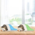 thumbnail image 3 of Fairnull 6Pcs Hedgehog Figurines Cute Cartoon Animal DIY Figure Miniature Solid Model Decoration PVC Dollhouse Figurine Micro Landscape Ornaments Model Gift, 3 of 10