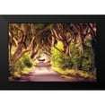 thumbnail image 2 of Amos, Andy 18x13 Black Modern Framed Museum Art Print Titled - Wicked Trees Path, 2 of 5
