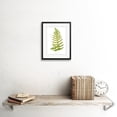 thumbnail image 2 of Fern Polypodium Vulgare Art Print Framed Poster Wall Decor 9x7 inch, 2 of 5