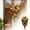 B, variante sur Couronne de Porte Suspendue Décoration Festive pour Mur de Maison et Entrée Transmet le Charme Saisonnier