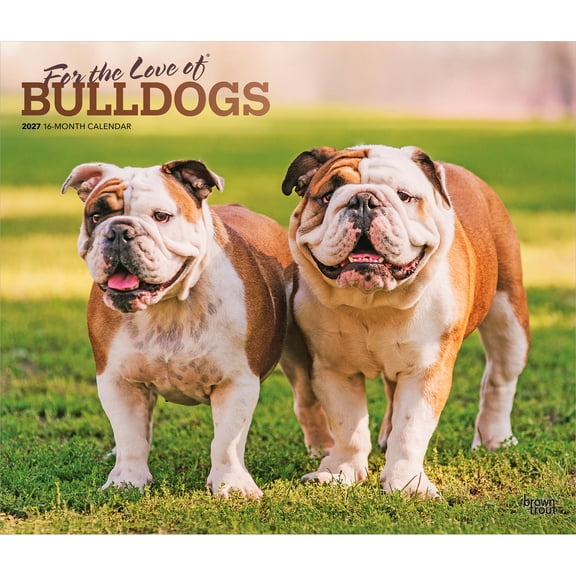For the Love of Bulldogs | 2027 14x24" (Hanging) Wall Calendar | Plastic-Free