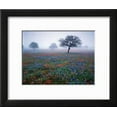 thumbnail image 2 of View of Texas Paintbrush and Bluebonnets Flowers at Dawn, Hill Country, Texas, USA, Botanical Scenic Framed Art Print Wall Art by Adam Jones Sold by Art.Com, 2 of 6