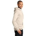 thumbnail image 3 of Port & Co Adult Male Men Heather Long Sleeves Sweatshirt Natural Large, 3 of 6