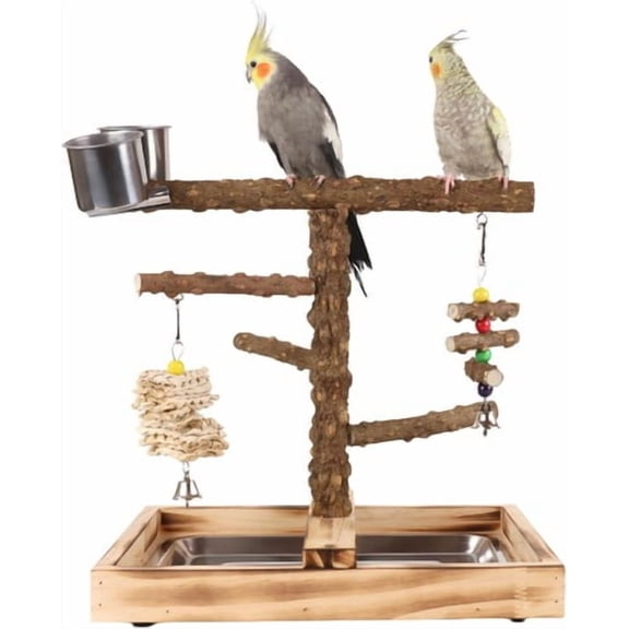 ShadeMart Large Natural Wood Parrot Stand, Bird Perch Playstand with Removable Tray and Feeder Cups - Toy & Accessory for Pet Birds