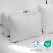 Hotel Grand Luxury Goose Feather & Down Fiber Pillows Queen Size Set of 2, Firm Support Gusseted Design, 100% Cotton Cover, No-Flat Fluffy Comfort for Side and Back Sleepers