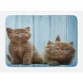 thumbnail image 1 of Animal Bath Mat, Baby Kitten Siblings Lovely Animals Creatures Best Friend Pattern Art Print, Non-Slip Plush Mat Bathroom Kitchen Laundry Room Decor, 29.5 X 17.5 Inches, Caramel Sky Blue, Ambesonne, 1 of 2