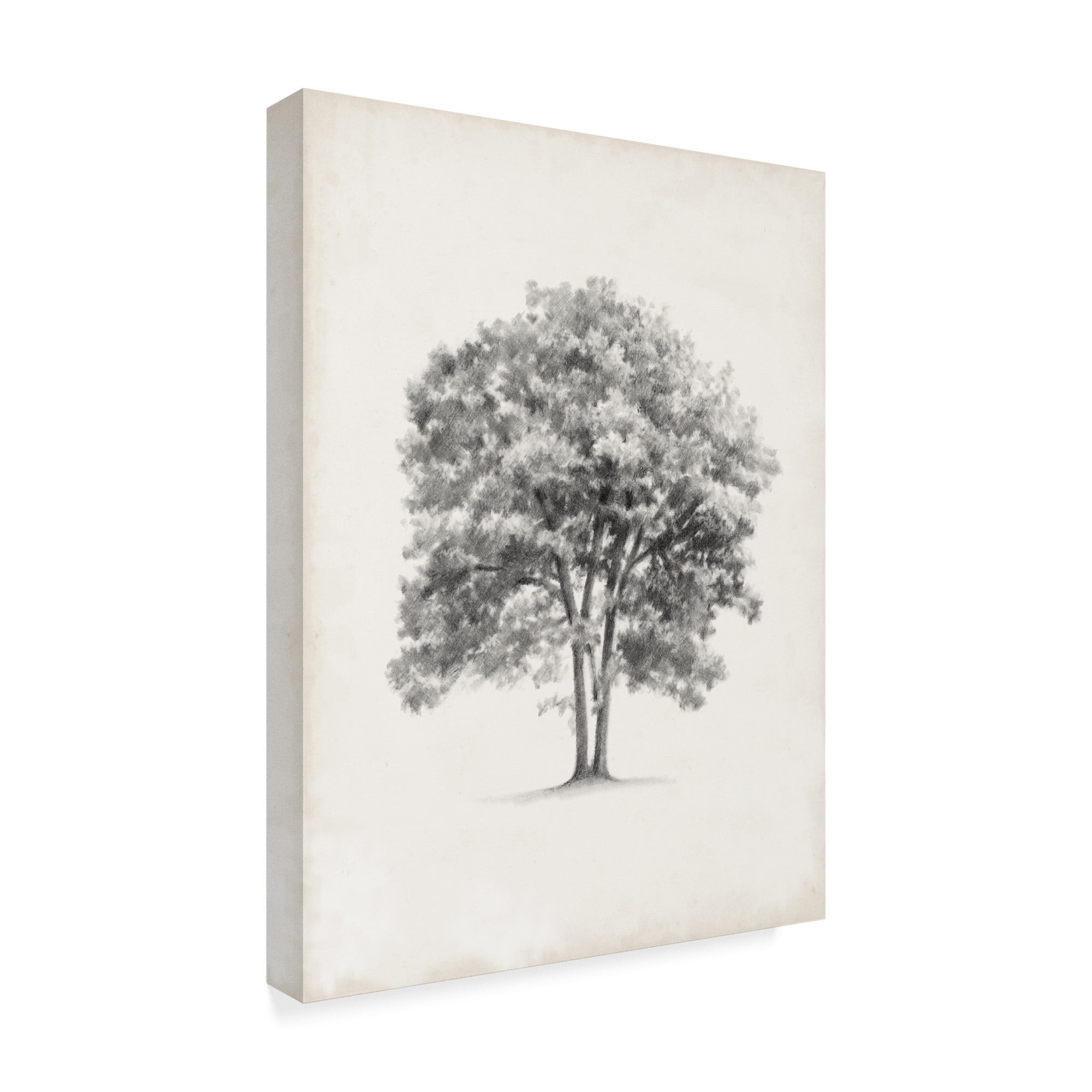 Trademark Fine Art 'Vintage Arbor Study II' Canvas Art by Ethan Harper