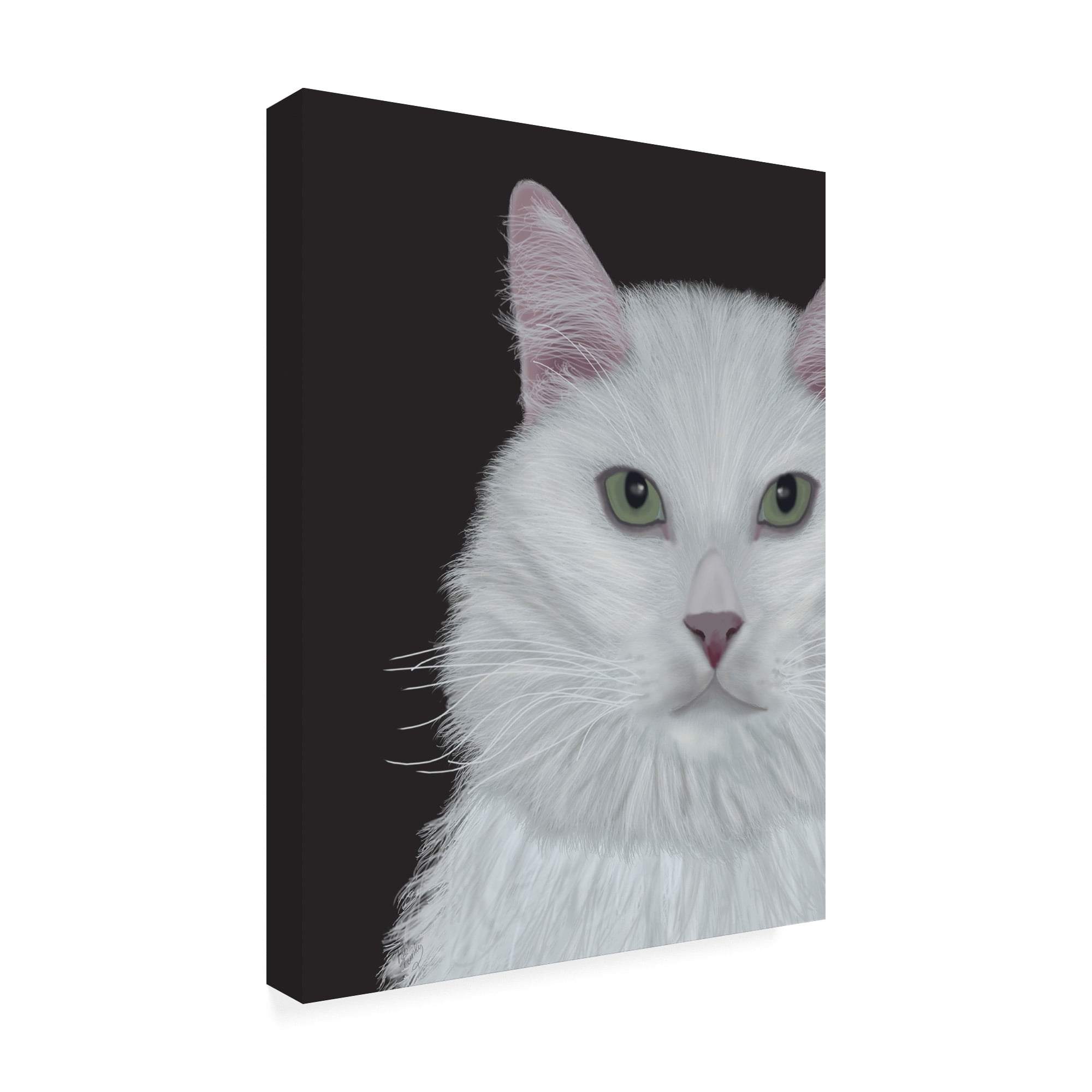 Trademark Fine Art 'Cat, White Portrait On Dark Grey' Canvas Art by Fab Funky