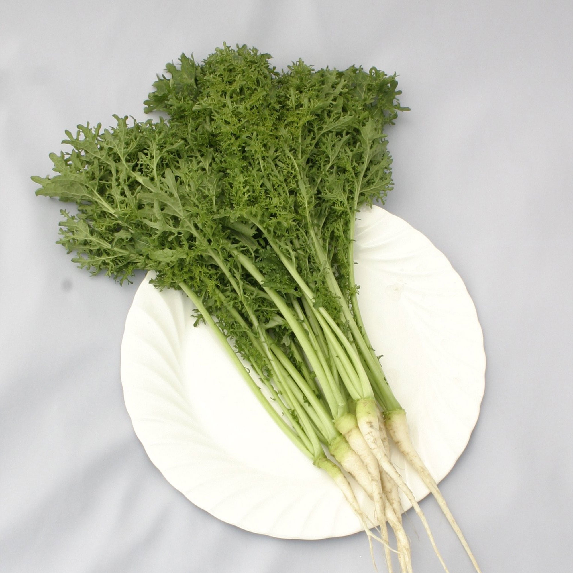 Mustard Seeds Golden Frill 2 g Packet 500 Seeds NonGMO, Heirloom Vegetable Garden