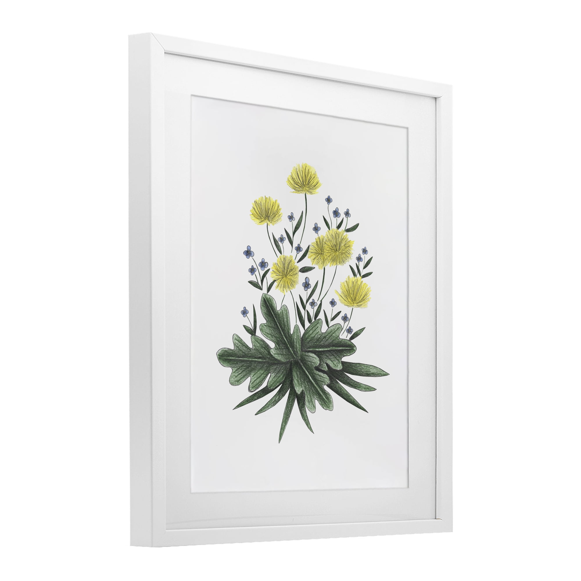 Dandelion Flower Illustration White Framed Print Under Glass, design by Cecilia Battaini