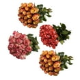 thumbnail image 2 of Bicolor Roses - 100 Stems of Assorted Farm Direct Fresh Cut Flowers, 2 of 10