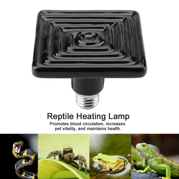 Reptile Heater,Infrared Ceramic Heat Bulb Infrared Bulb Emitter Heat Bulb Emitter Exceptional