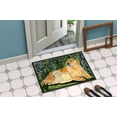 thumbnail image 4 of Carolines Treasures SS8852MAT Golden Retriever Tapis Intérieur Extérieur - 18 x 27 Po., 4 of 4