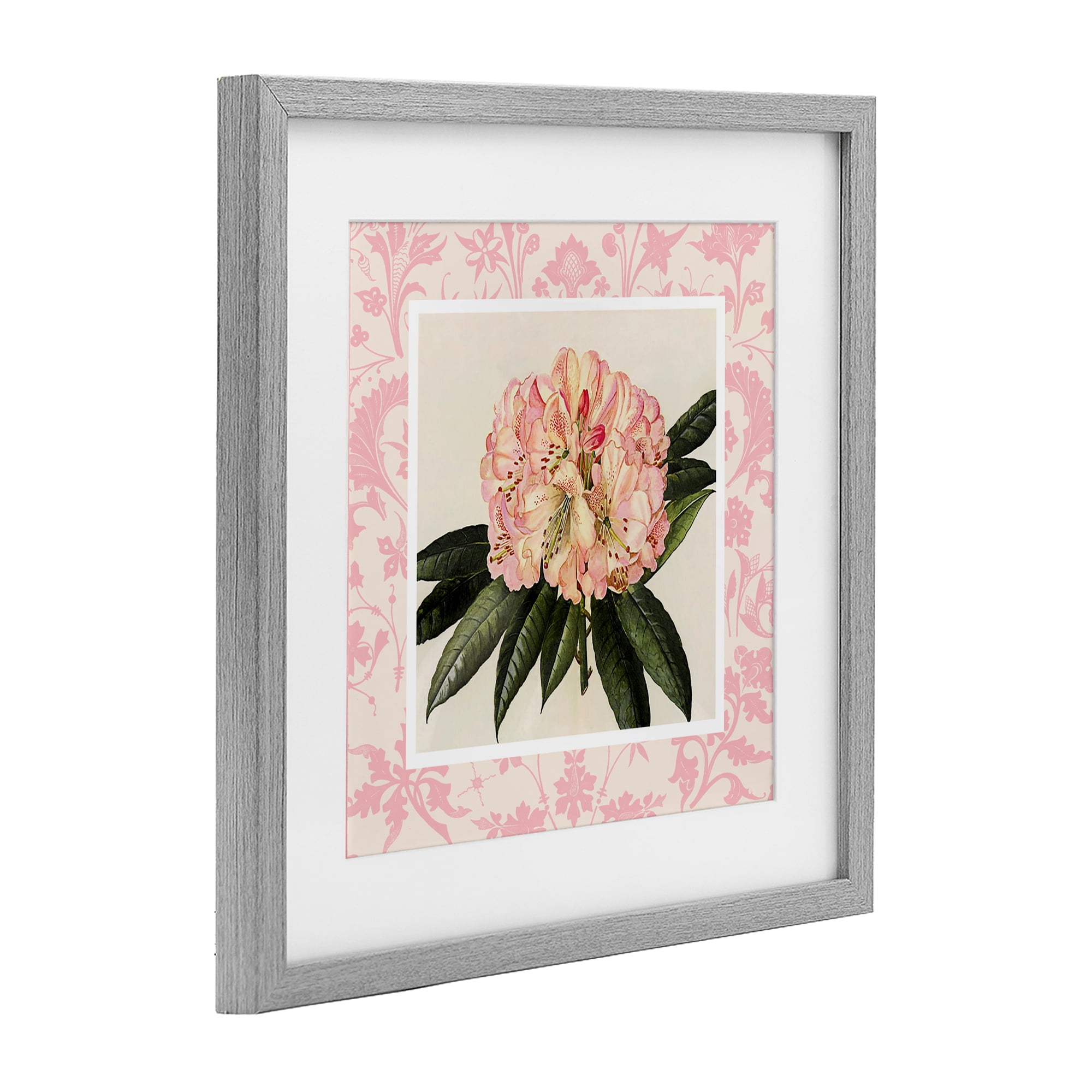 Stupell Industries Pink Pattern Botanical Gray Framed Print Under Glass, design by Livi Finn