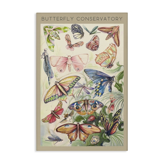 Stupell Industries Vintage Butterfly Conservatory Canvas Wall Art design by DIANNART, 24 x 16