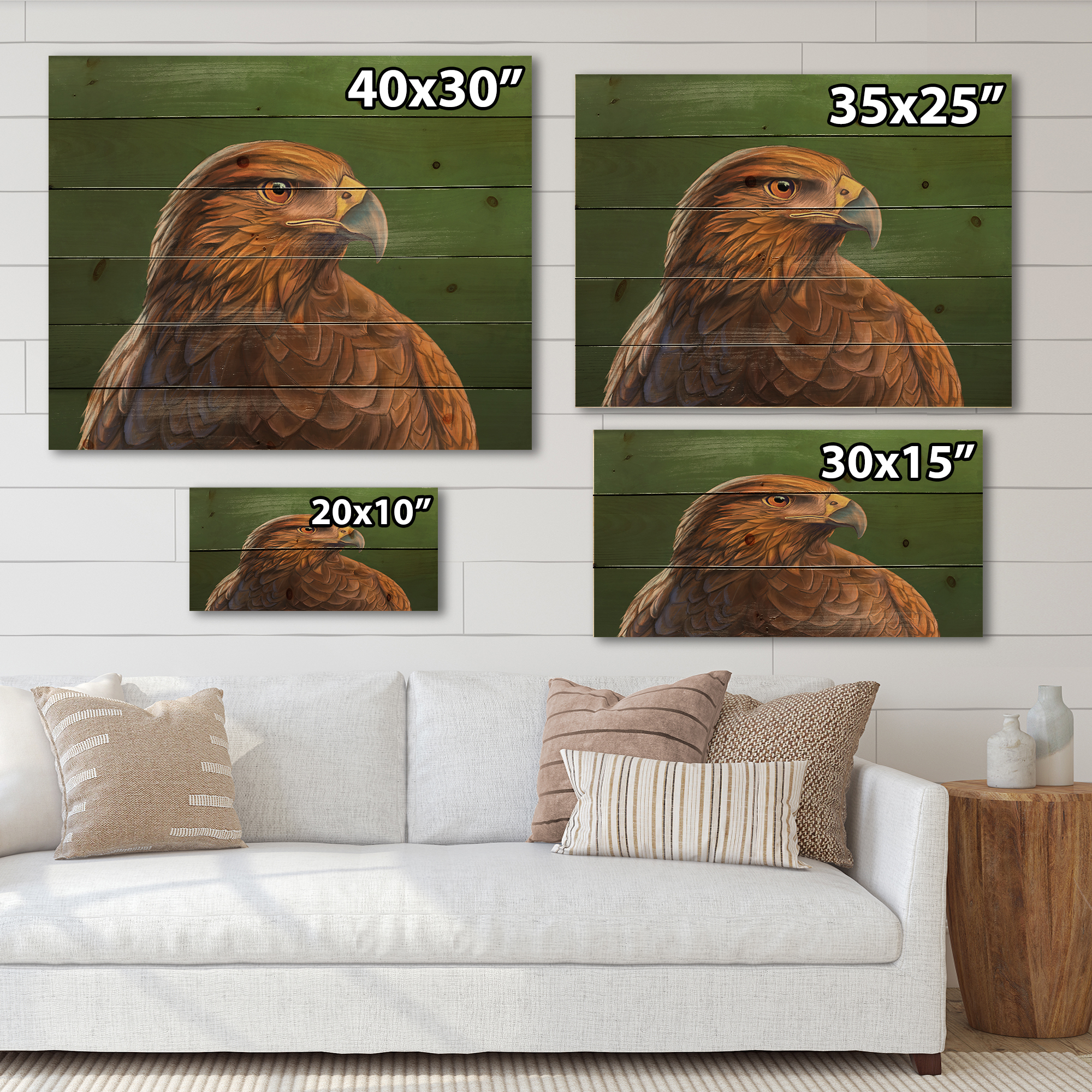 Designart 'Close UP Of Harris Hawk Bird' Traditional Print on Natural Pine Wood