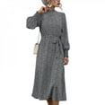 thumbnail image 1 of Finale Effacer! Femmes Robe Col Roulé Bouffée à Manches Longues Robe Taille Cravate Imprimé Léopard Casual Flowy Parti Maxi Robes, 1 of 5