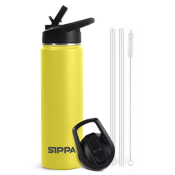 SIPPA 22oz Stainless Steel Insulated Thermos with Straw Lid & Handle – Leak Proof Wide Mouth Travel Bottle, Golden Yellow