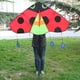 thumbnail image 5 of Ladybug Delta Kite Fly Kite con cola Fácil de volar Manga de viento Enorme Envergadura Gigante de una sola línea para jardín Juguete Viajes familiares Baoblaze cometa triangulo, 5 of 8