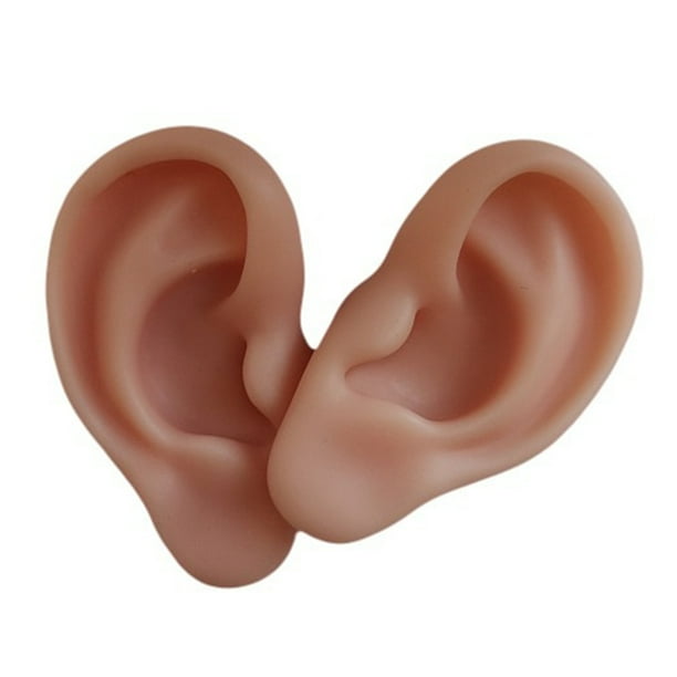 Modelo de Oreja Imitación de Silicona Shamjiam Derecha E Izquierda para Práctica de Acupuntura