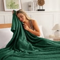 thumbnail image 3 of Whale Flotilla Fuzzy Fleece Twin Size Blanket for Bed, Soft Fluffy Jacquard Waffle Blankets for All Season, Lightweight and Warm, 60x80 Inch, Emerald Green, 3 of 11