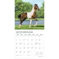 thumbnail image 4 of Magnificent Horses | 2026 12x24" (Hanging) Monthly Square Wall Calendar | Plato, 4 of 9