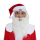 thumbnail image 4 of Disfraz de Papá Noel de piel verde para Navidad y Año Nuevo, disfraz de Papá Noel, ropa familiar, atuendo divertido para Navidad, conjunto para fiesta de carnaval de Año Nuevo, 4 of 5