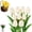 Off-White, variant on 10Pc Twinkling Tree Tulips, Radiant Romantic Tulip Light, Flowers Decorative Mood Decorative Lamps