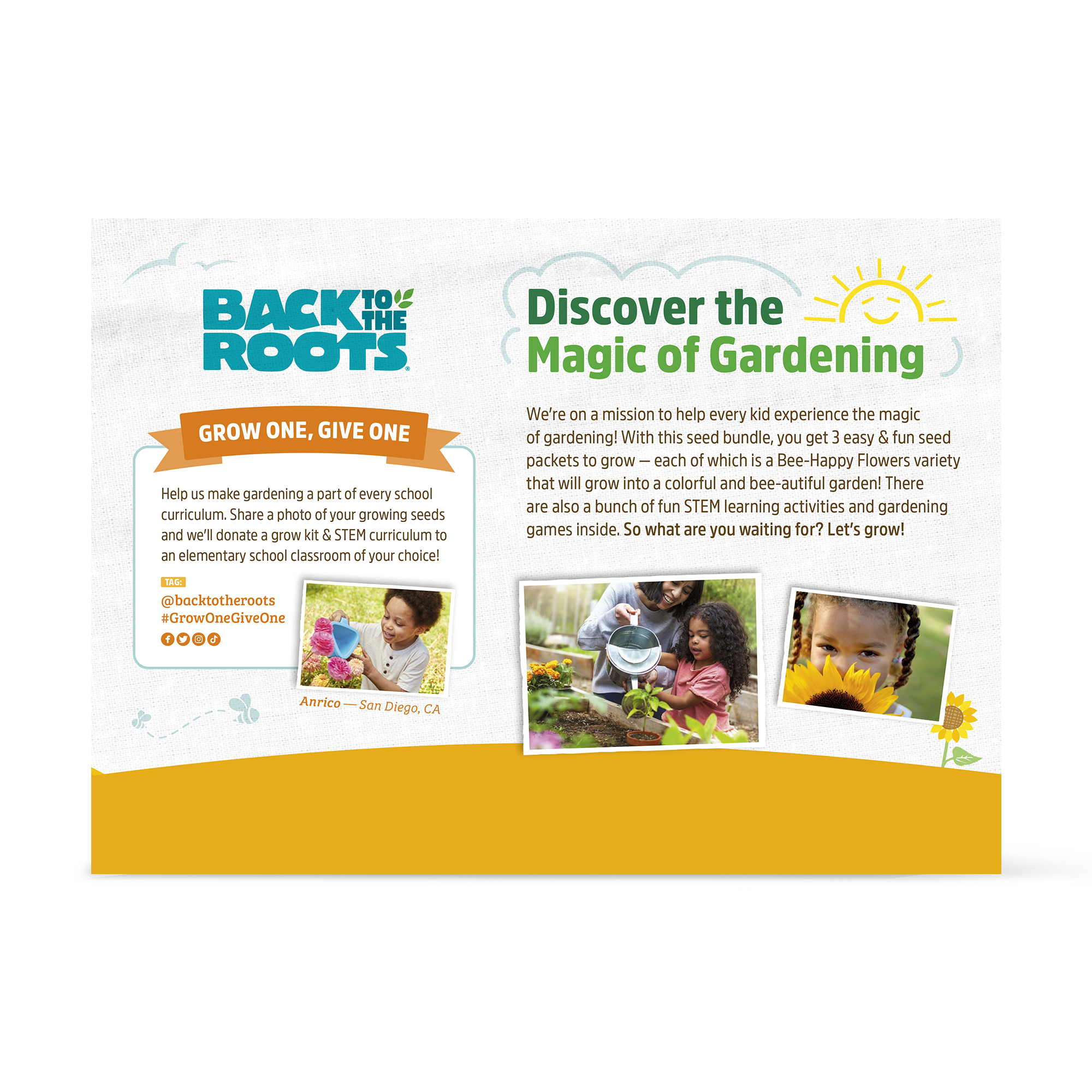 Back to the Roots Kids Gardening Organic Flower Seeds and STEM Curriculum (3 Pack) - image 2 of 5
