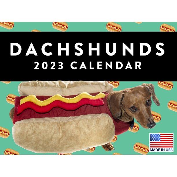 Dachshund Calendar 2023 Monthly Wall Hanging Calendar Hot Dog Breed
