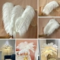 thumbnail image 3 of White Ostrich Feathers 15 Pieces White Feathers Ostrich Feathers for Crafts Wedding Party Centerpieces, Feather Accessories (20-25cm), 3 of 7