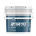 thumbnail image 1 of Soda para lavar Laundry Booster Earthborn Elements, 3,78 litros, 1 of 5