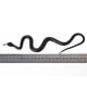 thumbnail image 3 of Jueguete de Imitación de Broma Accesorio de Jardín Serpiente de Goma Macarena Serpiente pretendo Trick Toy Jardín Atrezzo Rubebr, 3 of 8