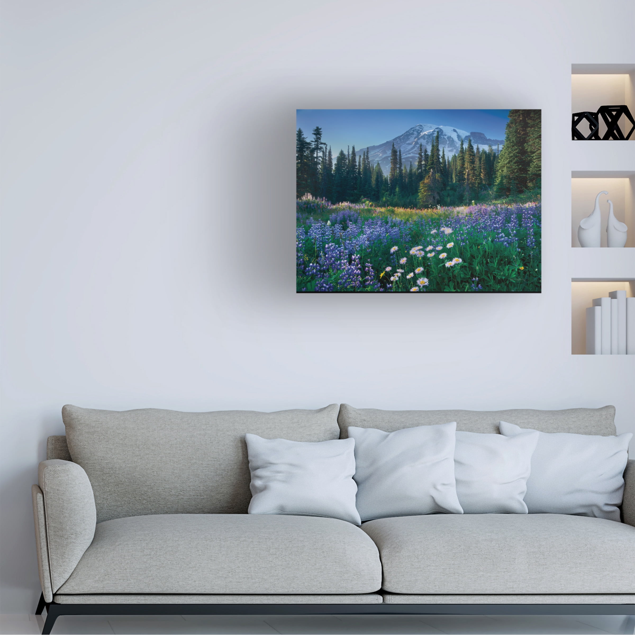 Alan Majchrowicz 'Mount Rainier' Canvas Art