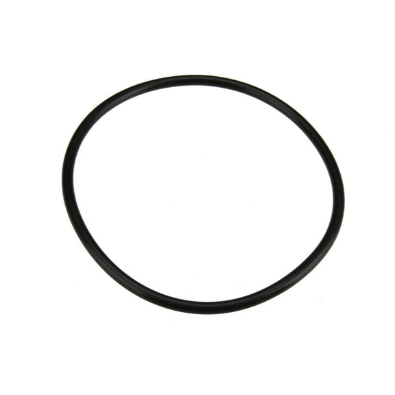 Autotecnica CY0516171 Fuel Pump Tank Seal