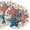 RED E, variant on American Flag Placemats – Set of 4 Red Blue Circular Non-Slip Heat-Resistant Table Mats for Home Dining, July 4th Party, Outdoor Picnic
