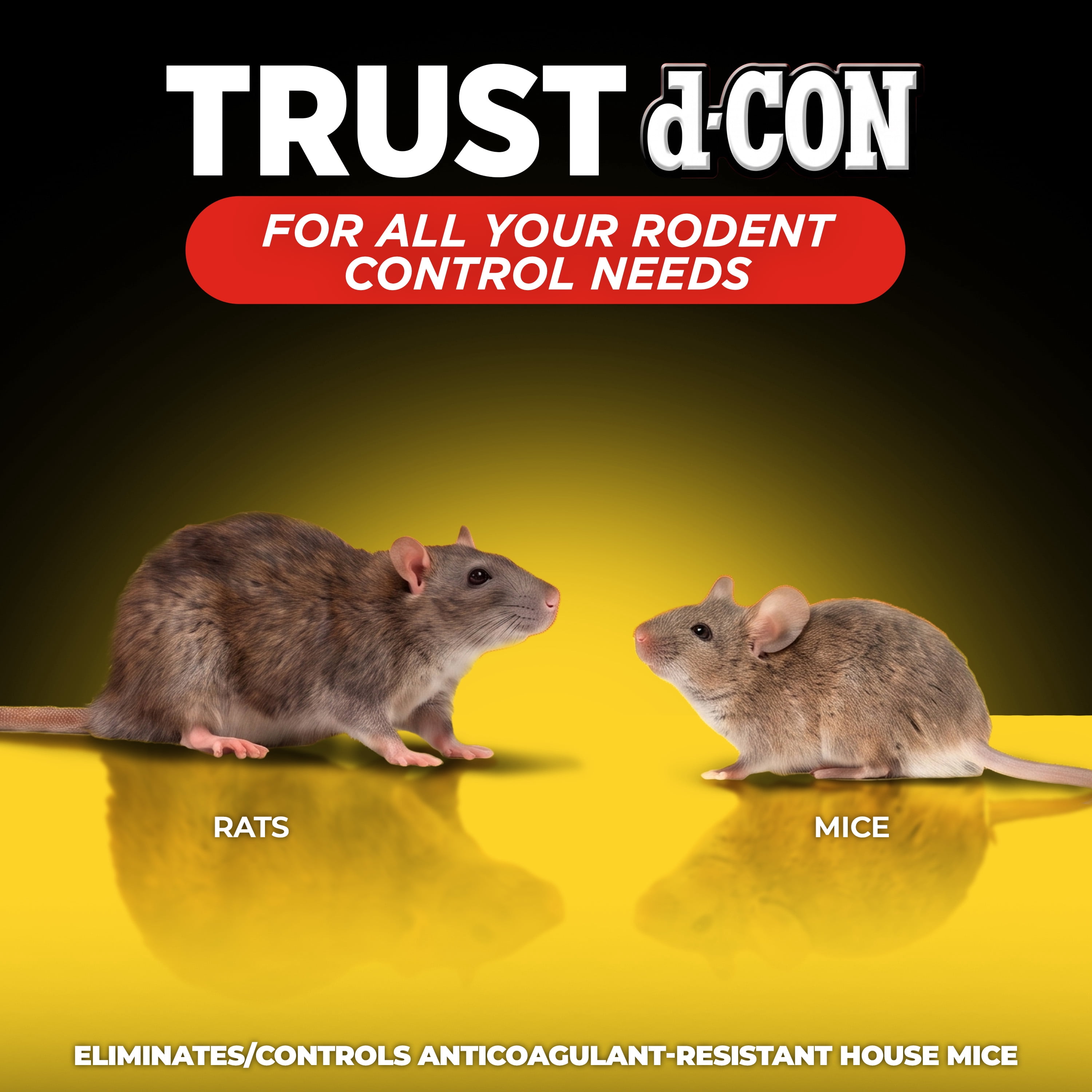 d-CON Refillable Corner Fit Mouse Bait Station, 1 Trap, 10 Baits