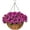 Purple, variant on Artificial Faux Hanging Flowers Plants Basket Outdoors Spring Decoration, Fake Silk White Bougainvillea in Pot Planter for Porch Outside Home Indoor Garden Yard Patio Indoor