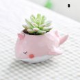 thumbnail image 2 of Resin Succulent Planter Flowerpot Balcony Desk Ornament Decoration, 2 of 7