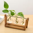 thumbnail image 2 of veasfak Propagation Station Glass Hydroponic Planter Bulb Terrarium Vase with Retro Style3, 2 of 9
