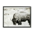 thumbnail image 2 of Stupell Industries Farmland Country Bison Bull Grazing Pasture Monochrome Framed Wall Art, 20 x 16, Design by Daniel Sproul, 2 of 5