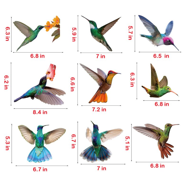 20 Pieces Large Size Hummingbird Window Hummingbird Decals for Windows  Anti-Collision Window Clings Decals to Prevent Bird Strikes on Window Glass  Non