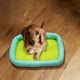 thumbnail image 4 of RKSTN Cat Bed Small and Medium-Sized Dog Four Seasons Mat 50*40*6cm Green, 4 of 7