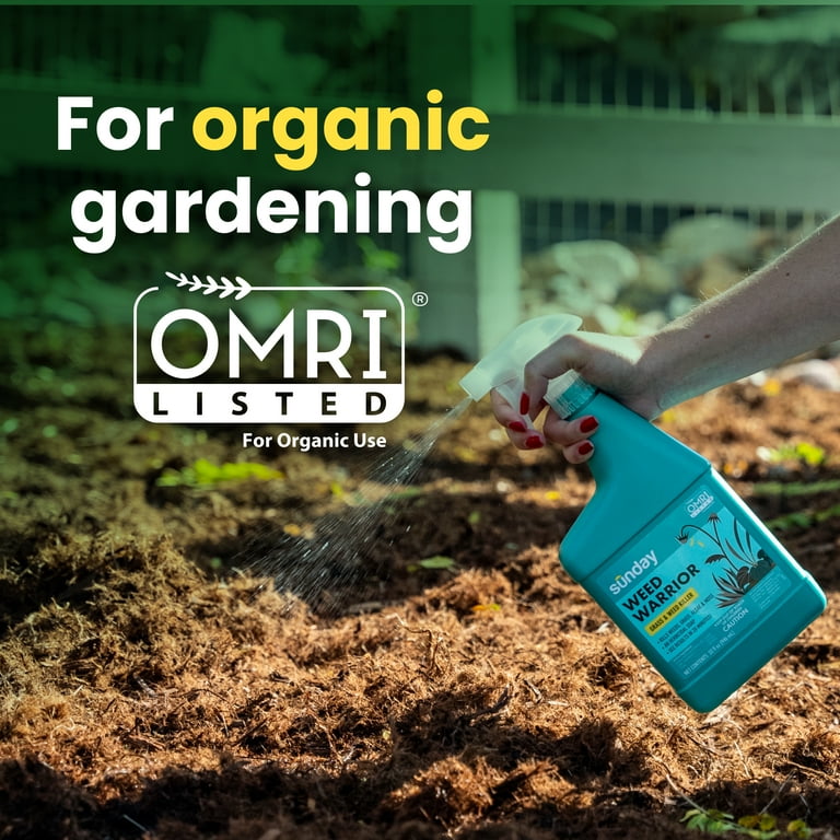 ダイエットサプリ KILLER BURNER II KODA KUMI Supplement KILLER BURNER II KODA KUMI ダイエットサプリ 3袋 Amazon