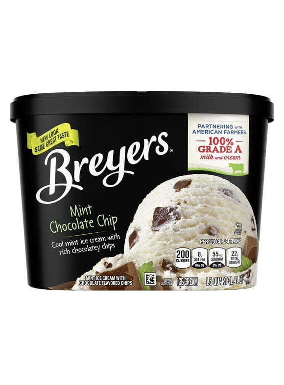 Mint Chocolate Chip Ice Cream in Ice Cream & Novelties