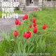 thumbnail image 2 of 6 Pack Plant Stakes For Flowers, Metal Single Stem Plant Support, 2 of 4